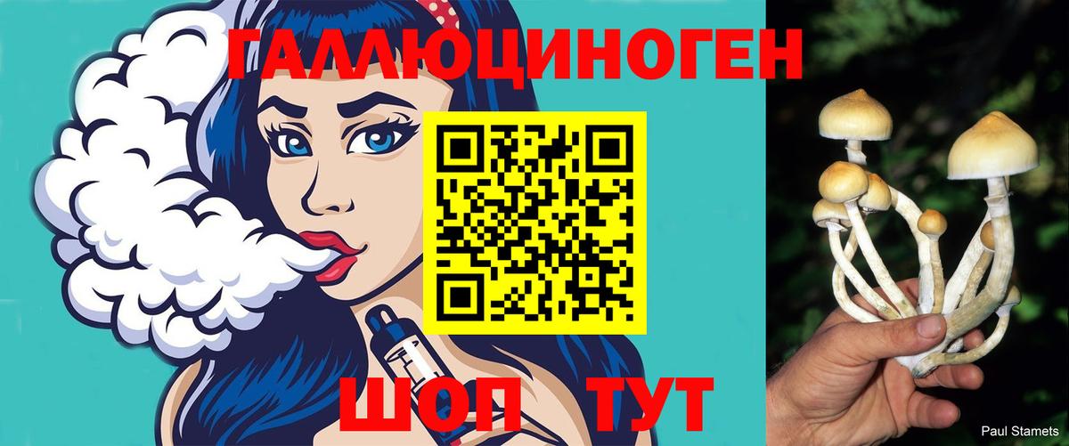 Галлюциногенные грибы мухоморы Каменск-Шахтинский